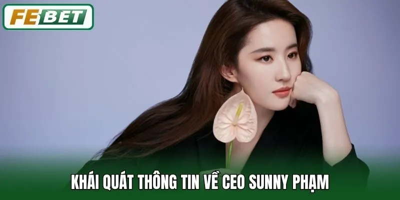CEO Sunny Phạm 1 Khái quát thông tin về CEO Sunny Phạm
